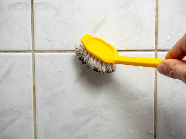 Best Commercial Mold Removal  in Homestead, FL