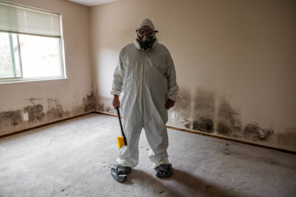 Best Office Mold Removal Services  in Homestead, FL